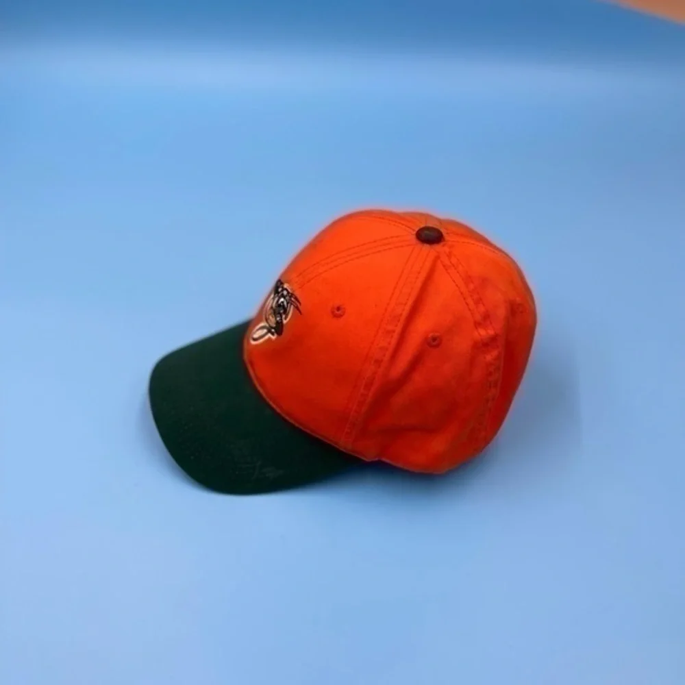 Vintage Minor League Embroidered Hat